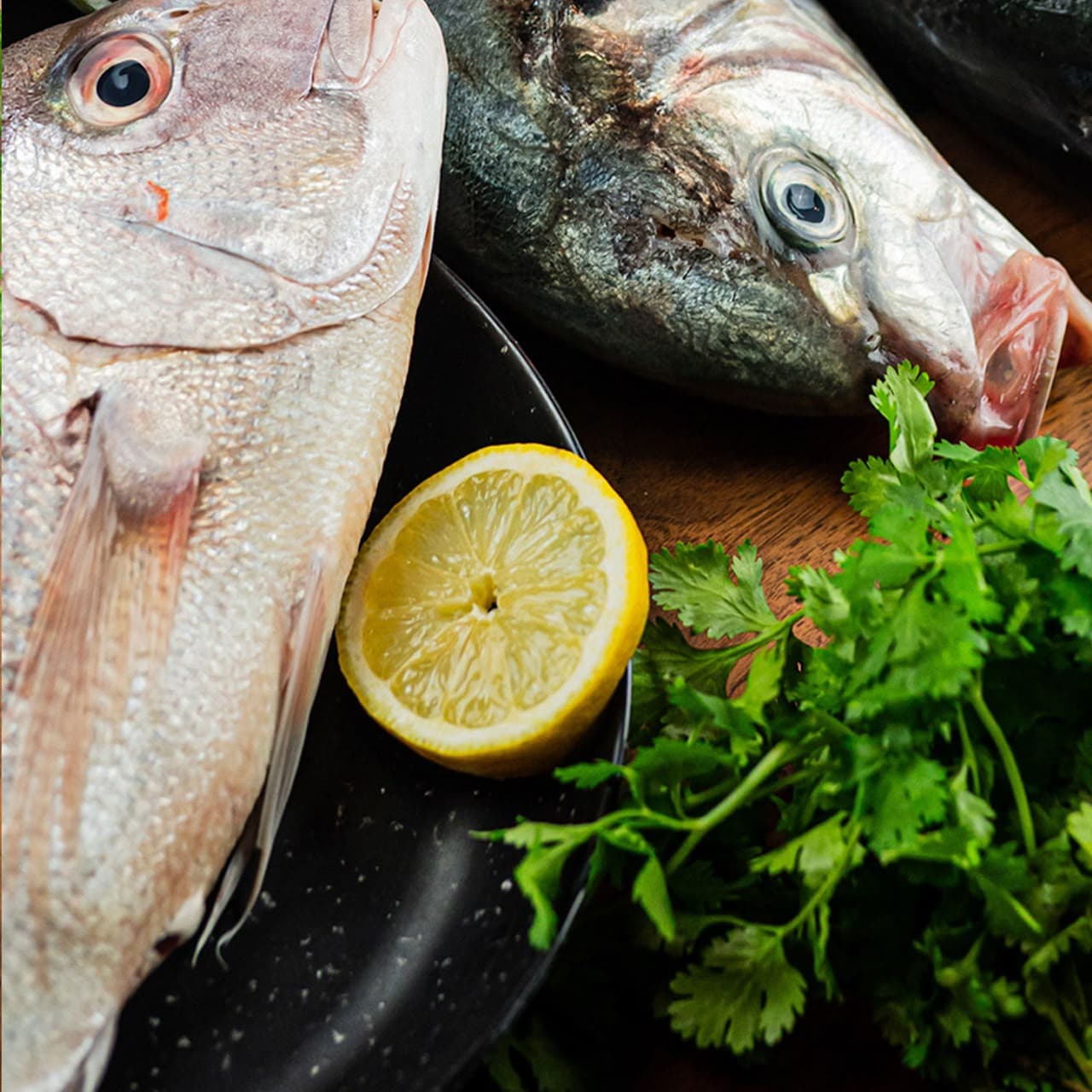 Pescado fresco del día
